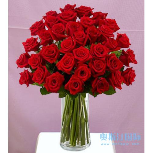 奥斯汀国际鲜花速递加拿大温尼伯送花维多利亚订花玫瑰