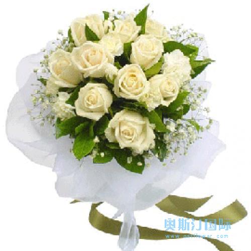 奥斯汀国际送花白玫瑰西班牙送花西班牙鲜花店西班牙订花玫瑰