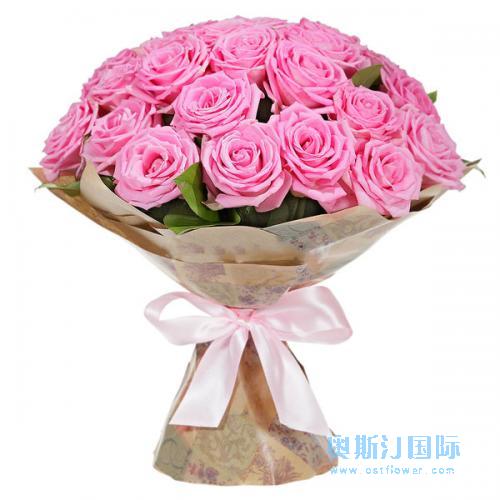 奥斯汀国际粉玫瑰新西兰送花基督城送花汉密尔顿送花