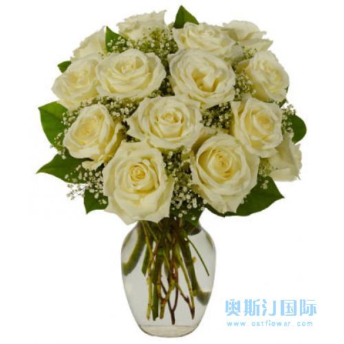 奥斯汀国际鲜花白玫瑰新西兰花店奥克兰汉密尔顿送花