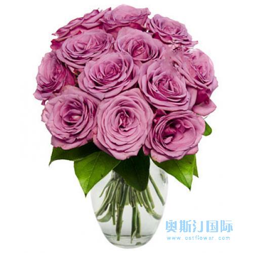奥斯汀国际鲜花速递紫玫瑰新加坡订花送花瓶花