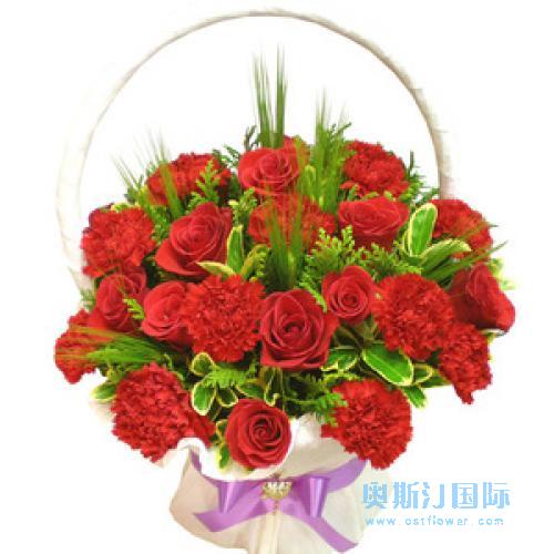 韩国送花奥斯汀国际鲜花玫瑰康乃馨首尔送花木浦釜山订花
