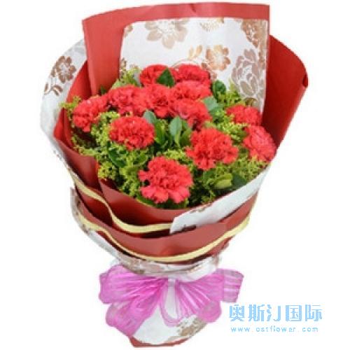 奥斯汀国际送花12康乃馨马来西亚订花吉隆坡送花玫瑰