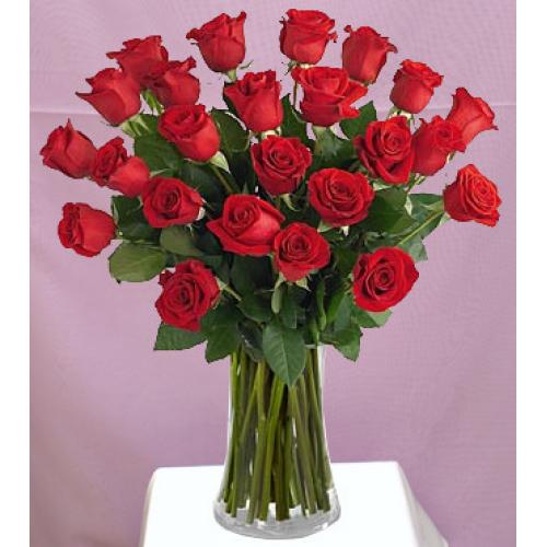 奥斯汀国际鲜花速递加拿大多伦多温哥华温尼伯订花玫瑰