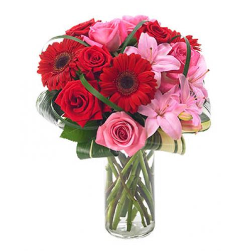 奥斯汀国际鲜花速递玫瑰百合丹麦送鲜花丹麦鲜花玫瑰