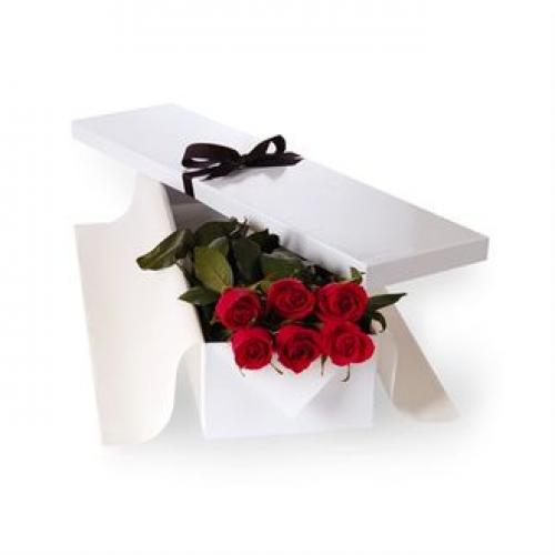 奥斯汀国际玫瑰澳大利亚送花佩斯花店墨尔本悉尼送花