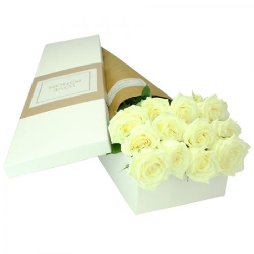 奥斯汀国际送花澳大利亚订花佩斯花店佩斯送花澳洲送花白玫瑰