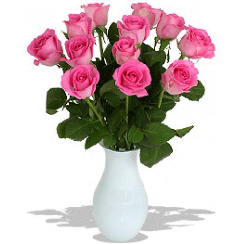 奥斯汀国际鲜花速递新西兰粉玫瑰汉密尔顿订花奥克兰送花