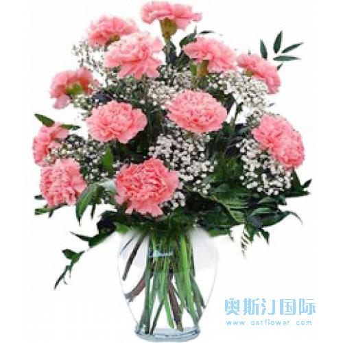 奥斯汀国际鲜花速递加拿大多伦多订花维多利亚送花12枝康乃馨