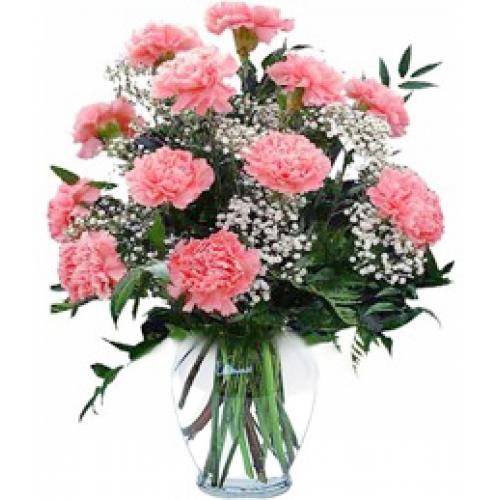 奥斯汀国际鲜花速递加拿大多伦多订花维多利亚送花12枝康乃馨