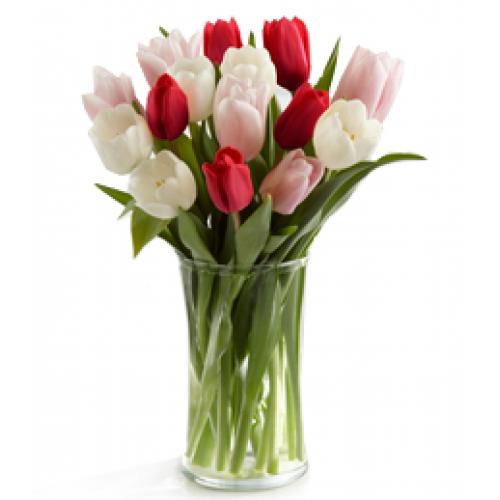 奥斯汀国际送花欧洲送花法国送花法国巴黎鲜花速递玫瑰