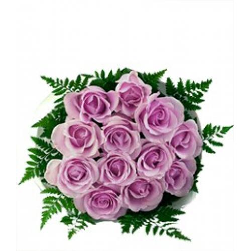 奥斯汀国际鲜花玫瑰澳洲新西兰花店新西兰送花澳洲订花