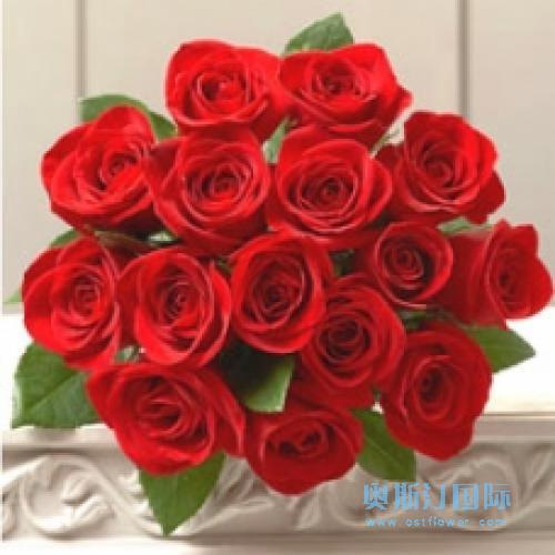 奥斯汀国际鲜花速递玫瑰印度送花印度订花印度鲜花速递