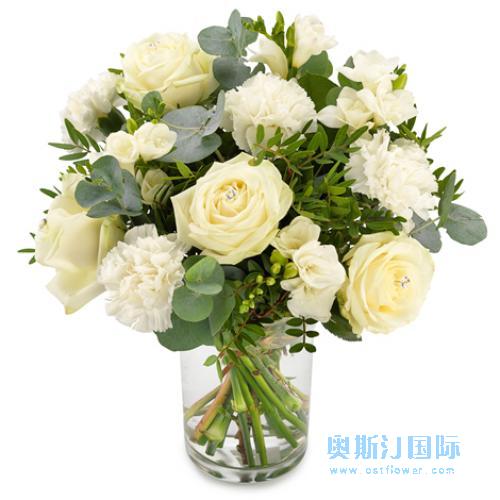 奥斯汀国际送花4玫瑰4康乃馨西班牙送花西班牙鲜花店西班牙订花国际送花