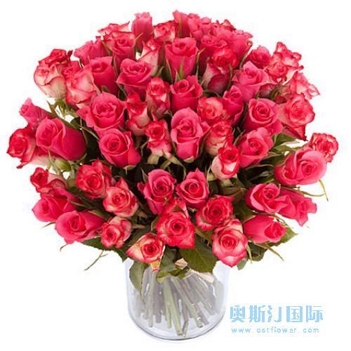 奥斯汀国际订花40枝粉玫瑰德国送鲜花柏林欧洲送花德国鲜花玫瑰
