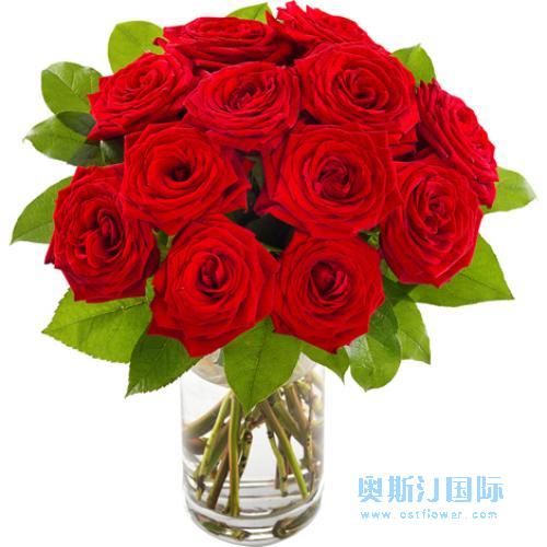 奥斯汀国际鲜花12枝红玫瑰瑞典送花国际鲜花速递瑞典