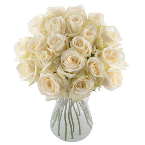奥斯汀国际送花21白玫瑰欧洲送花法国送花...