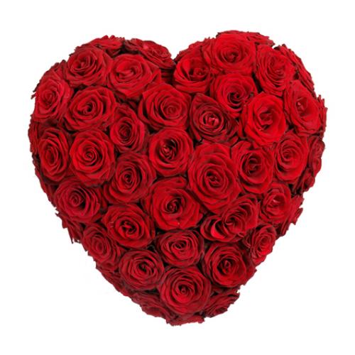 奥斯汀国际送花99心盘玫瑰法国鲜花店巴黎送花国际鲜花