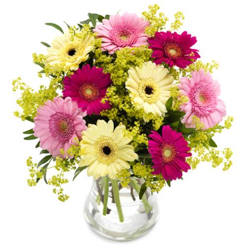 奥斯汀国际送花9枝扶郎花瑞典鲜花速递国际鲜花瑞典送花