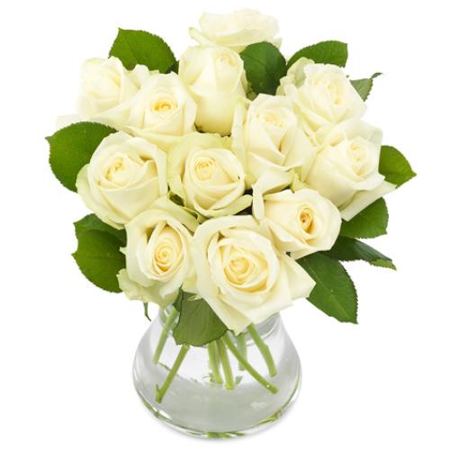 奥斯汀国际12枝白玫瑰欧洲比利时国际鲜花...