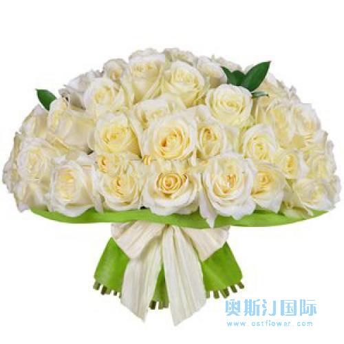 奥斯汀国际鲜花速递加拿大送花33枝粉玫瑰多伦多订花密西沙加鲜花店温尼伯送花