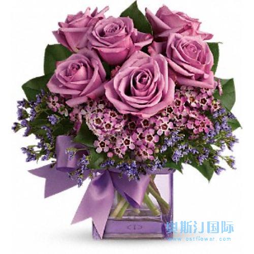 奥斯汀国际送花紫色玫瑰瓶花美国送花旧金山鲜花速递洛杉矶订花纽约花店