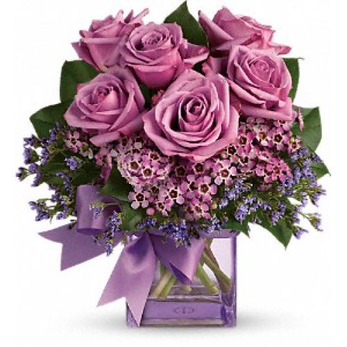 奥斯汀国际送花紫色玫瑰瓶花美国送花旧金山鲜花速递洛杉矶订花纽约花店