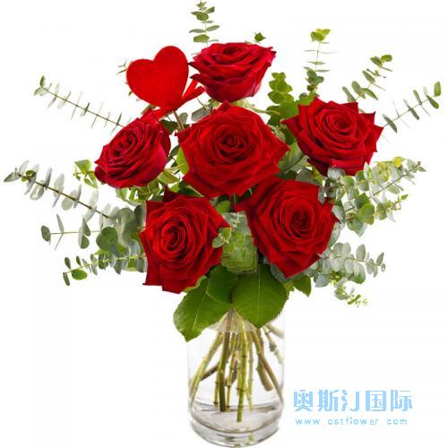 奥斯汀国际鲜花速递6红玫瑰瓶花德国送鲜花柏林欧洲送花德国汉堡