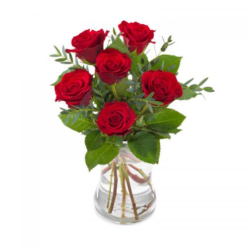 奥斯汀国际鲜花速递6枝红玫瑰瓶花荷兰送花阿姆斯特丹鲜花店鹿特丹订花海牙送花荷兰全境