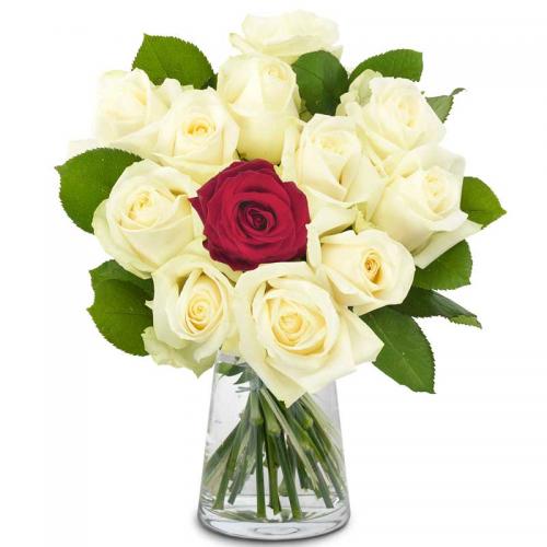 奥斯汀国际送花11枝白玫瑰1枝红玫瑰瓶花比利时鲜花速递布鲁塞尔鲜花店根特送花安特卫普订花比利时全境
