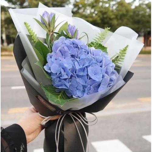 奥斯汀国际送花蓝色绣球花束澳大利亚鲜花速递悉尼订花墨尔本花店佩斯送花布里斯班霍巴特澳大利亚全境